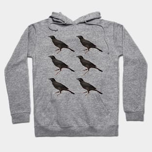 Birds Hoodie